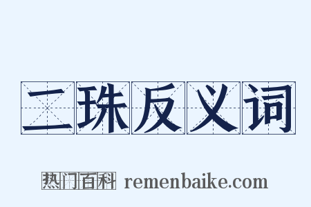 二珠反义词是什么意思的图片